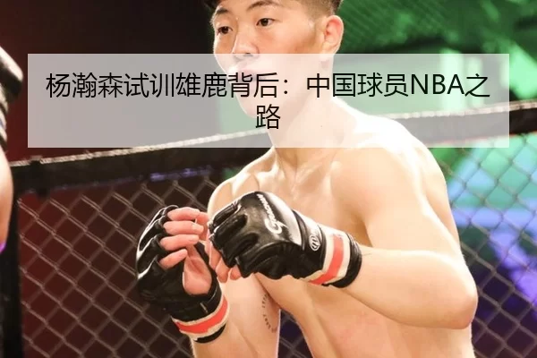 杨瀚森试训雄鹿背后：中国球员NBA之路 | kaiyun app